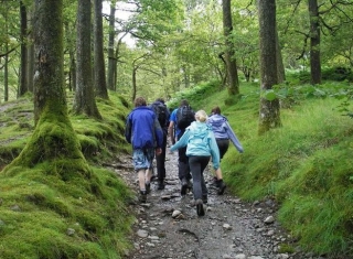 Hiking expeditions